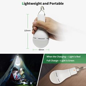 4 Pack Portable Emergency LED Bulbs, Afoskce USB Rechargeable Camping Light with Remote Timer, 5 Lighting Modes, with Hook, 1500mAh Smart Light Bulbs for Emergency, Camping, Hiking, Hurricane Outage