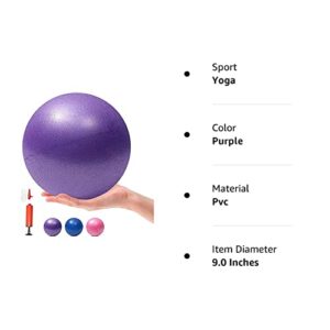 MOMPLUS 6 Inch Exercise Pilates Mini Yoga Balls Barre for Home Stability Squishy Training Physical Therapy Improves Balance Core Strength Comes with Pump(Purple, 6 Inch)