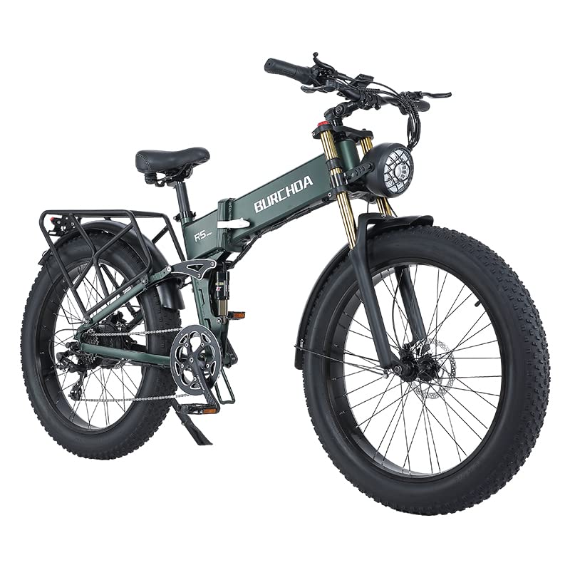 CEAYA Electric Bike, 1000W Electric Bike for Adults,48V 15Ah Ebike, Fat Tire Electric Bicycles, 8-Speed Electric Mountain Bike, UL Certified…