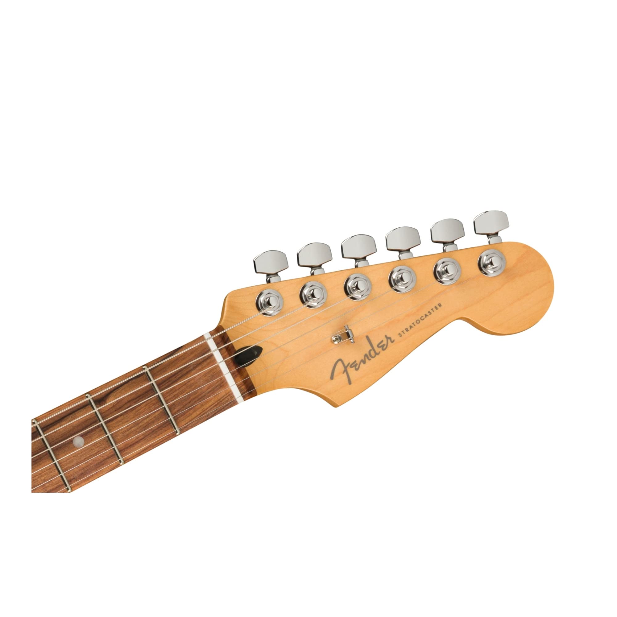 Fender Player Plus Stratocaster Electric Guitar, with 2-Year Warranty, Silverburst, Pau Ferro Fingerboard