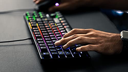 Cherry MX RGB Mechanical Keyboard with MX Red Silent Gold-Crosspoint Key switches for typists, Programmers, Creator, Coder, Work in The Office or at Home G80-3000N RGB (TenKeyLess (TKL)