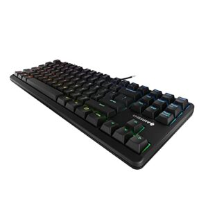 Cherry MX RGB Mechanical Keyboard with MX Red Silent Gold-Crosspoint Key switches for typists, Programmers, Creator, Coder, Work in The Office or at Home G80-3000N RGB (TenKeyLess (TKL)