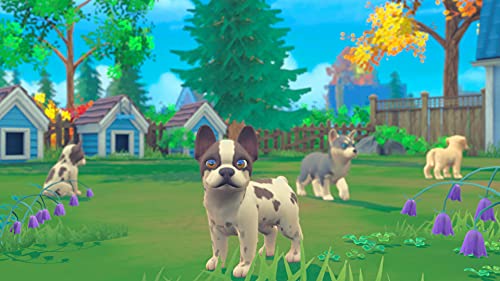 My Universe: Puppies and Kittens Nintendo Switch