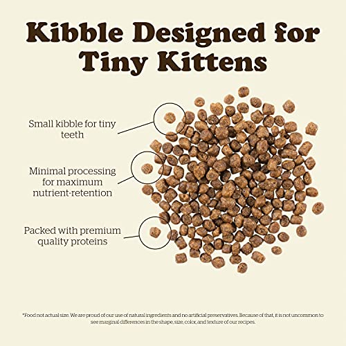 Now Fresh Dry Cat Food for Kittens, Turkey, Salmon and Duck Recipe, 3 lbs - Grain Free, Kitten Food, Made with Real Meat and Fish