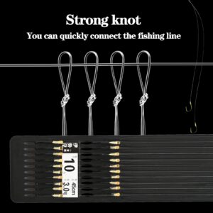 LNOJENR Fishing Hooks with Line, Strong Sharp Double Hook Rigs with Barbs, Pre Tied Fish Hooks Already Tied‑in Fishing Wire/Leader, Black Gold Fish Hook for Freshwater/Seawater (20 PCS), Medium, D10