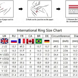 STARCHENIE Cubic Zirconia Twist Rings Sterling Silver Twisted Rope Eternity Engagement Wedding Band for Women