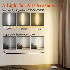 DENGALA Modern Corner Floor Lamp - 3000K-6000K LED Standing Lamp - Minimalist Dimmable Floor Lamp with Remote Control for Living Room, Bedroom (White)