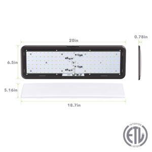 Leisure LED RV LED Ceiling Light Fixture 20" x 6.5" - 1450 Lumen with Touch Dimmer Switch Interior Burnt Bronze Lighting for Car/RV/Trailer/Camper/Boat DC 12V Natural White 4000-4500K (2-Pack)