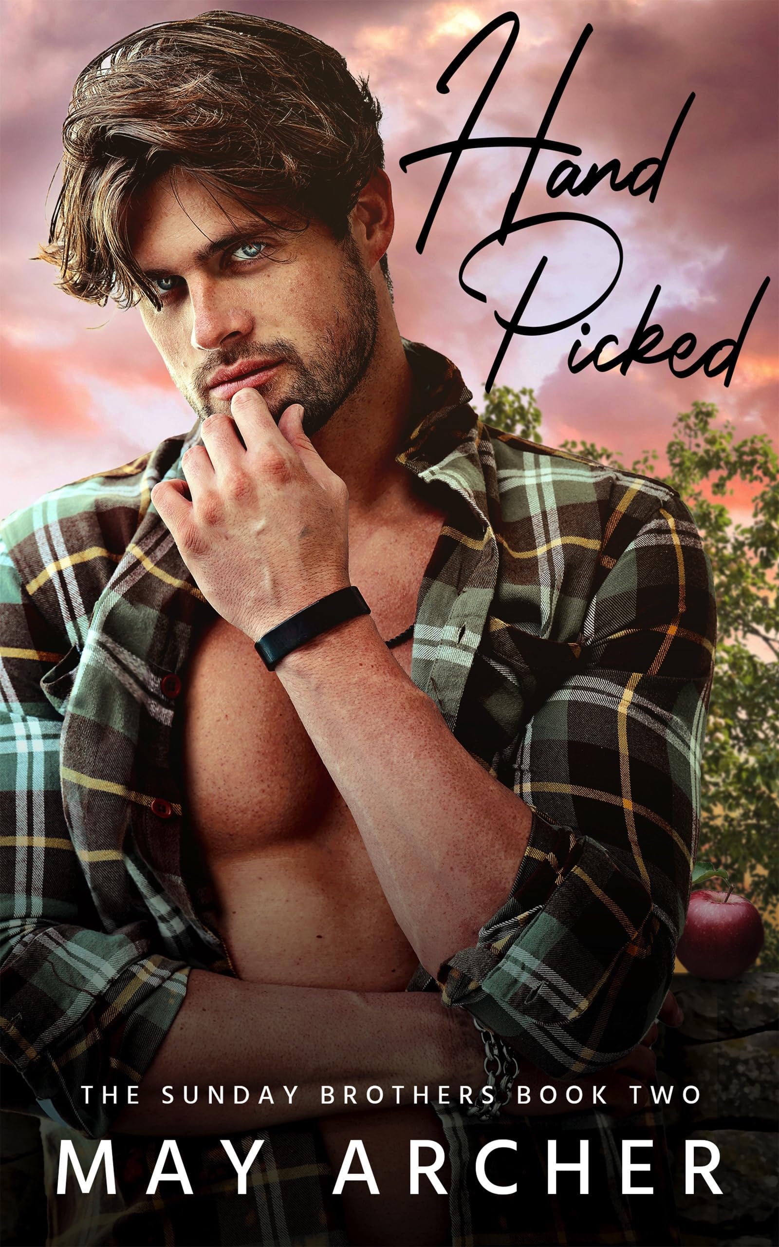 Hand Picked (Sunday Brothers Book 3)