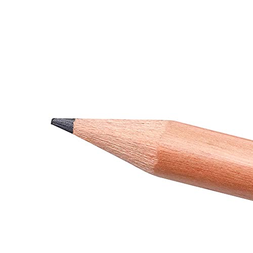 STAEDTLER 131N Unpainted Natural Wood Graphite Pencils, HB2 Woodcased Pencils, Lacquer-Free Round Barrel, Pack of 24