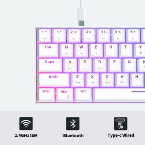 CIY AK61 Hot-Swappable Mechanical Keyboard with CNC Aluminum Case, RGB Wireless/Wired Gaming Keyboard, Double Shot Keycaps,2000mAh Battery（Gateron Yellow Switch）