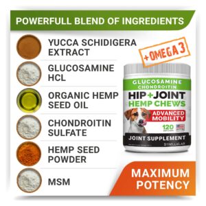 Large Breed Hemp + Glucosamine Dog Joint Supplement - Hemp Chews for Dogs Hip Joint Pain Relief - Omega 3, Chondroitin, MSM - Advanced Mobility Hemp Oil Treats for Large Dogs - Made in USA - 240 Ct