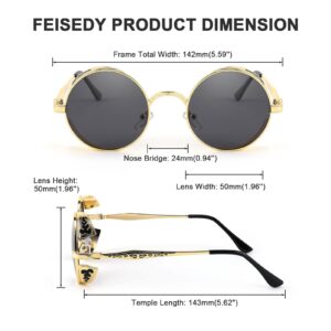 FEISEDY Retro Steampunk Polarized Sunglasses Round Metal Frame Gothic Shades Design Men Women B2820