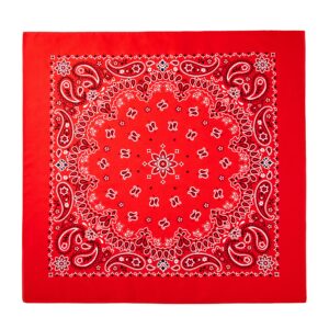 EVERY-VILLE Where EVERYone is Welcome 6-Pack Large Cotton Bandanas for Men - Paisley, 22x22 In, Red Black Blue - Cowboy Head Handkerchief Pocket Squares