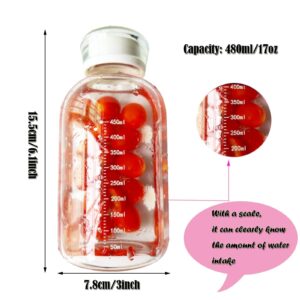 JZSMY 480ml Milk Juice Cute Water Bottle with Scale 2 Lids Little daisy Matte Portable Transparent Water Cup Glass Bottles Creative Handy Cup (Transparent 6 flowers)