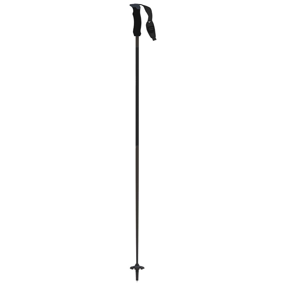 Atomic AMT Ultra SQS Unisex Ski Poles