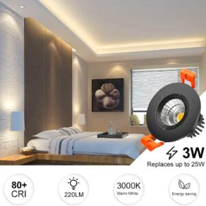 inShareplus 2 Inch LED Downlight, 3W Recessed Lighting 220LM COB Dimmable, 3000K Warm White, CRI80, Black Trim, LED Ceiling Lights with LED Driver, 12 Pack