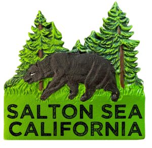 r and r imports salton sea california hand painted resin refrigerator magnet 3-inch approximately bear design