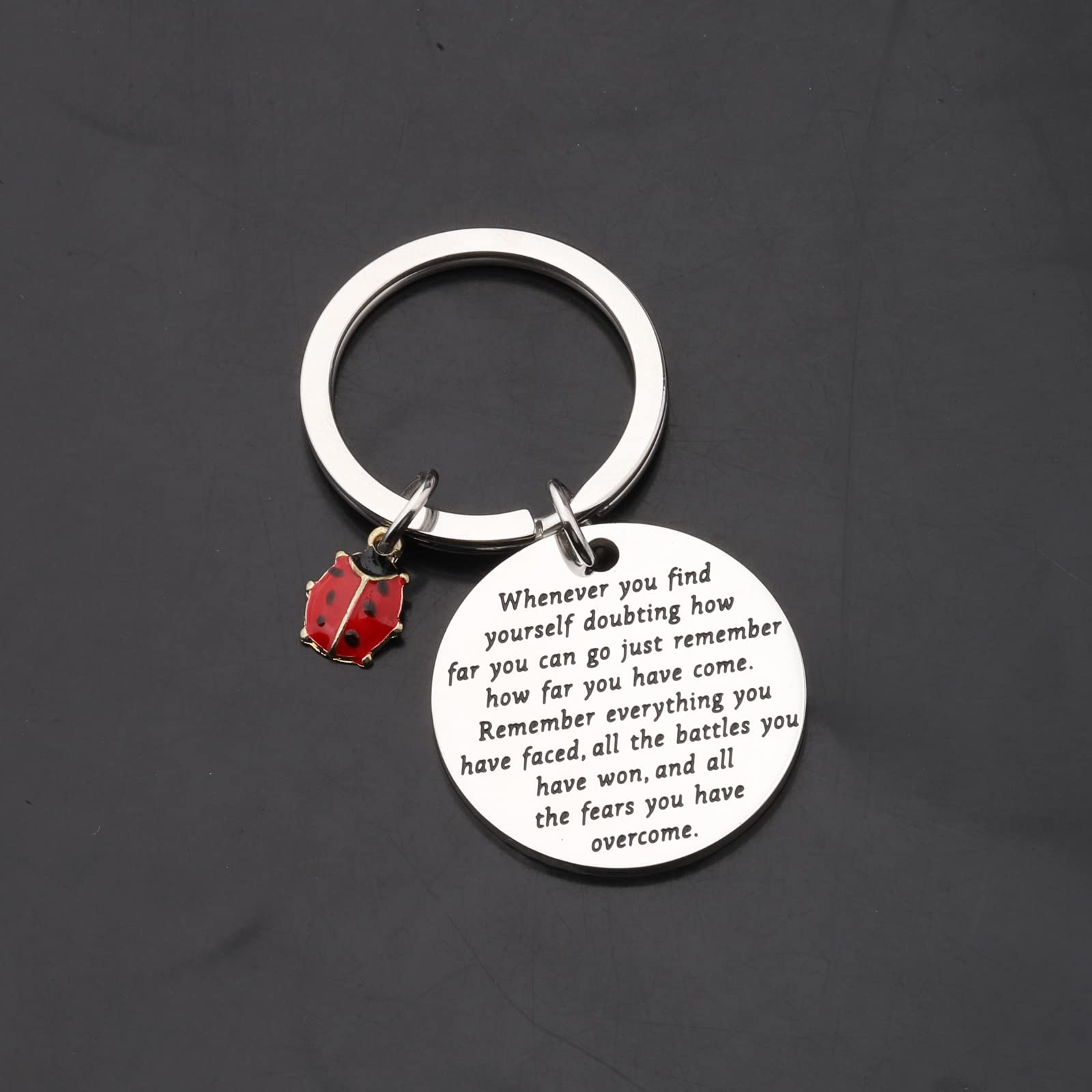 TIIMG Ladybug Inspirational Keychain Ladybug Lover Gifts Good Luck Gifts For Friend Best Friend (Ladybug whenever)