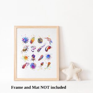 Dignovel Studios 8X10 Unframed Bacteria Watercolor Art Print Biology Medical Art Microbiology Virus Art Abstract Bacteriophage Science Home Office Wall Decor Poster DN675