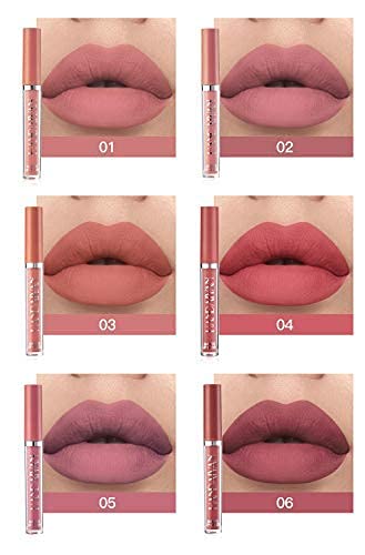 VeniCare 6Pcs Matte Liquid Lipstick Makeup Set, Matte liquid Long-Lasting Wear Non-Stick Cup Not Fade Waterproof Lip Gloss (Set B)