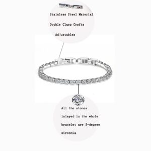 Auoy Dhof Tennis Bracelet Titanium Steel Bracelet Ladies Bracelet Double Buckle Adjustable AAA Cubic Zirconia (Steel Color (2))