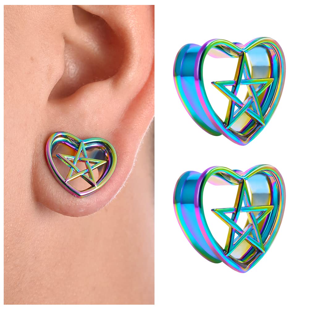 COOEAR 1 Pair Stainless Steel Gauges For Ears Double Flared Piercing Tunnels Notched Plugs Stretchers 0g to 1 Inch.