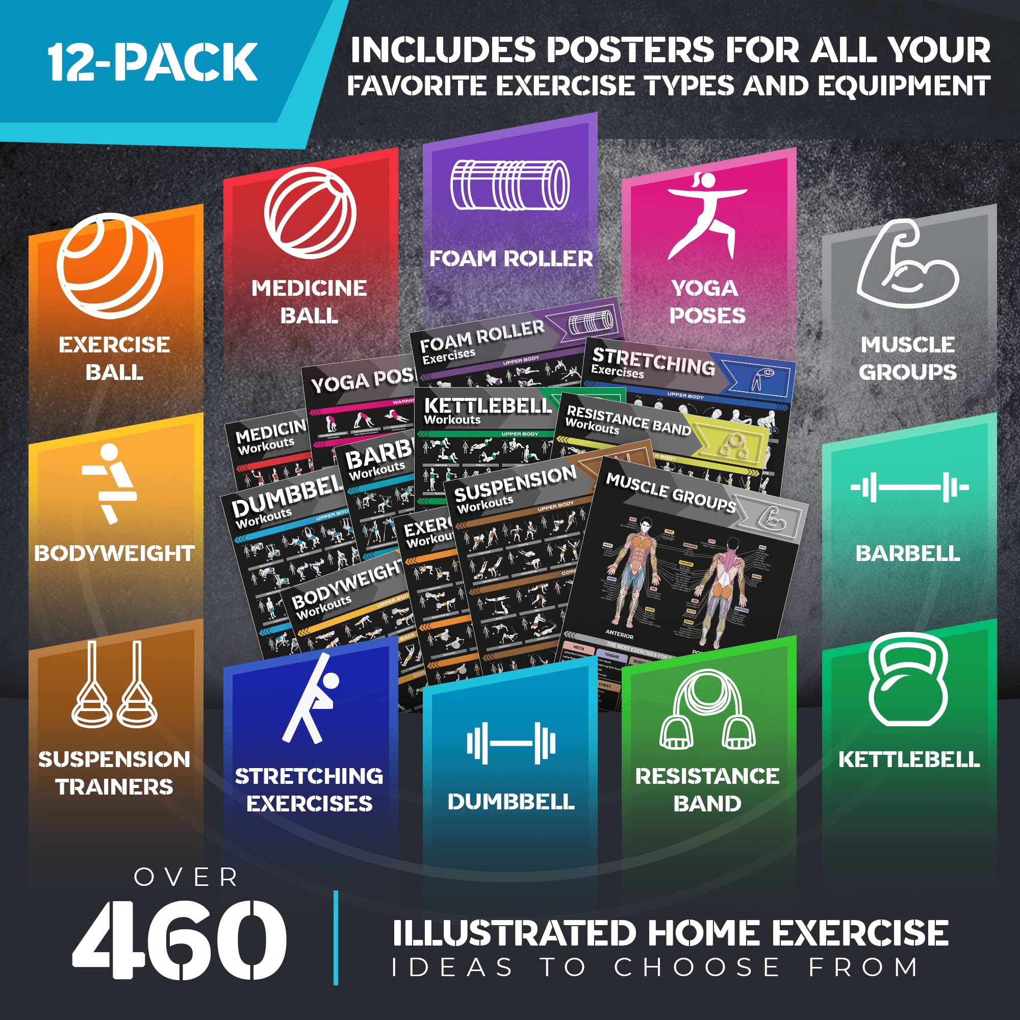 [12-PACK] Laminated Large Workout Poster Set - Perfect Workout Posters for Home Gym - Exercise Charts Incl. Dumbbell, Yoga Poses, Resistance Band, Kettlebell, Stretching & More Fitness Gym Posters