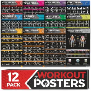 [12-pack] laminated large workout poster set - perfect workout posters for home gym - exercise charts incl. dumbbell, yoga poses, resistance band, kettlebell, stretching & more fitness gym posters