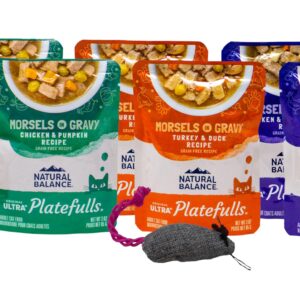 Natural Balances Platefulls Cat Food 4 Flavor 8 Pouch Variety, (2) Each: Chicken Liver, Turkey Duck, Chicken Pumpkin, Duck Chicken Pumpkin (3 Ounces) Plus Catnip Toy and Fun Facts Booklet Bundle