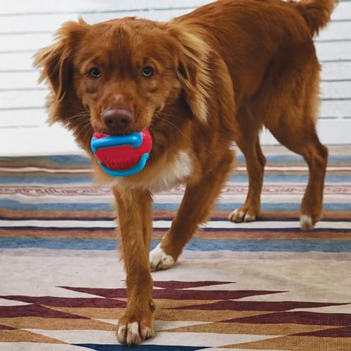 KONG Jaxx Brights Tug w/Ball Assorted Md