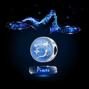 QeenseKc Pisces Zodiac Sign Charm Constellation Bule Enamel Star Charm for Pandora Bracelet Birthday Gift