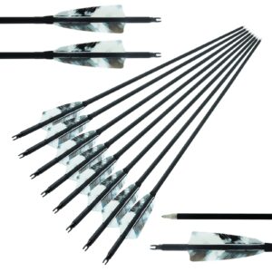 28inch carbon arrow archery spine 500 4" natural turkey feather competition practice target shooting hunting arrows with removable tips for recurve long traditional bow and compound bow pack of 12pcs