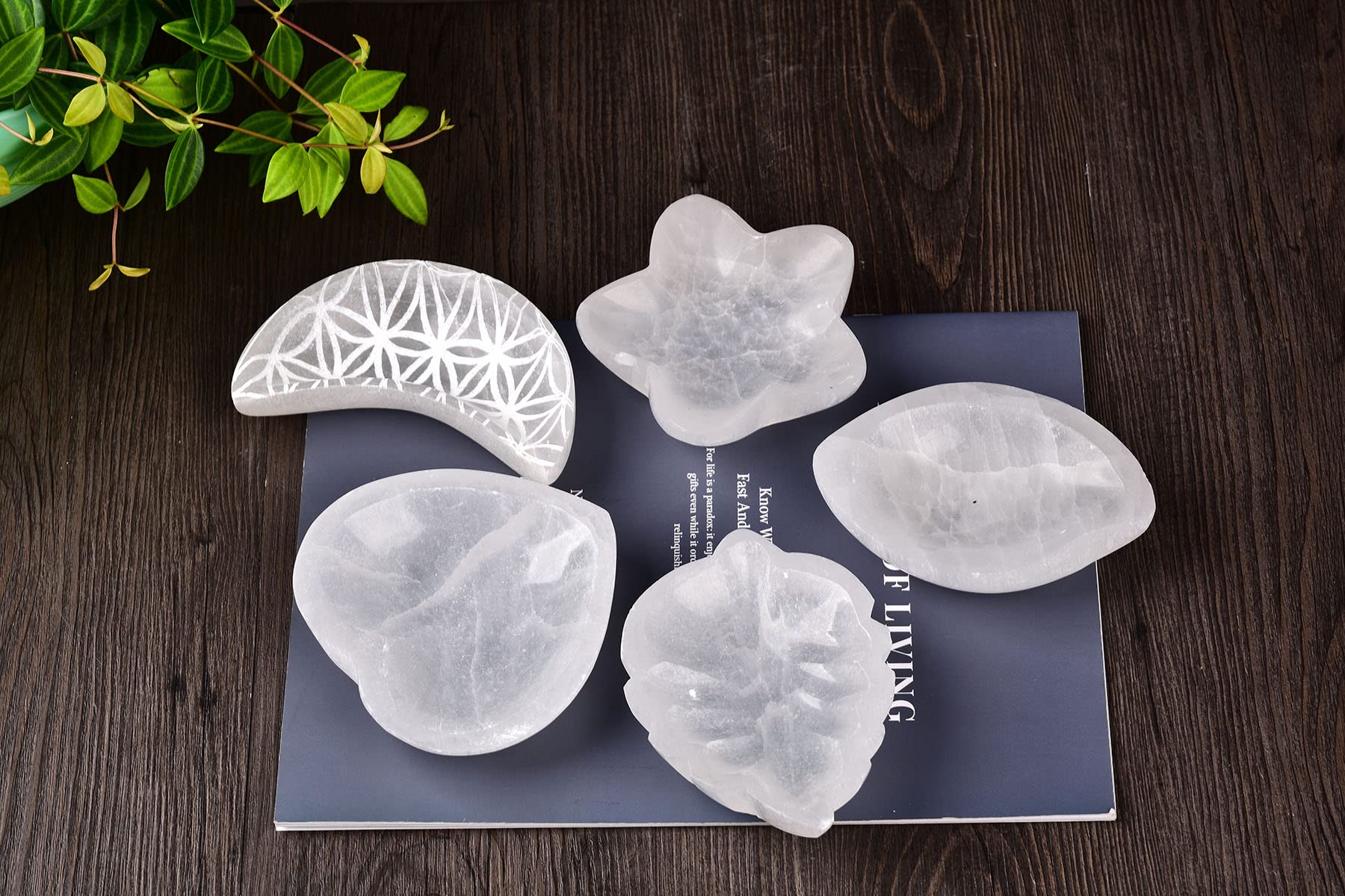 AMOYSTONE Selenite Charging Bowl 4” Crescent Moon Stone Bowl Engraving Pattern Flower of Life, for Jewelry, Home Decoration