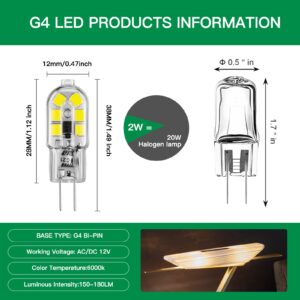 𝐒𝐫𝐢𝐨𝐦𝐧𝐲 G4 LED Bulb 12V G4 Bi Pin Bulb 2W Equivalent to Halogen lamp 20W, 6000K White Light, Non-dimmable, Suitable for Landscape Bulbs 10-Pack