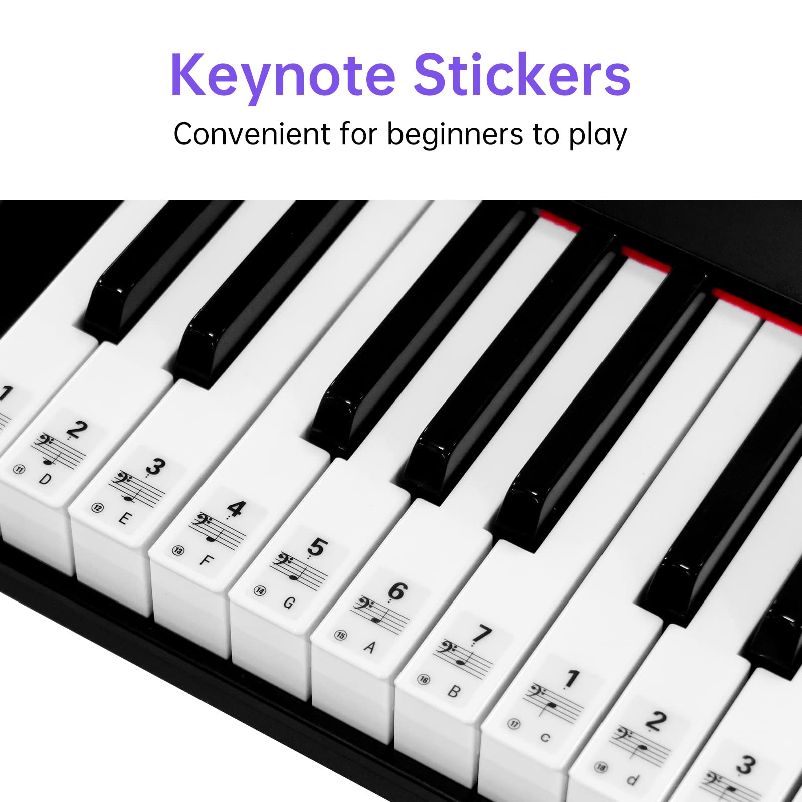 TERENCE Keyboard Piano with 61 Semi-weighted Keys & 1800mAh Battery Support MIDI USB Interface & Piano Application with Bluetooth Sheet Music Stand Sticker Bag Audio Cable Earphones