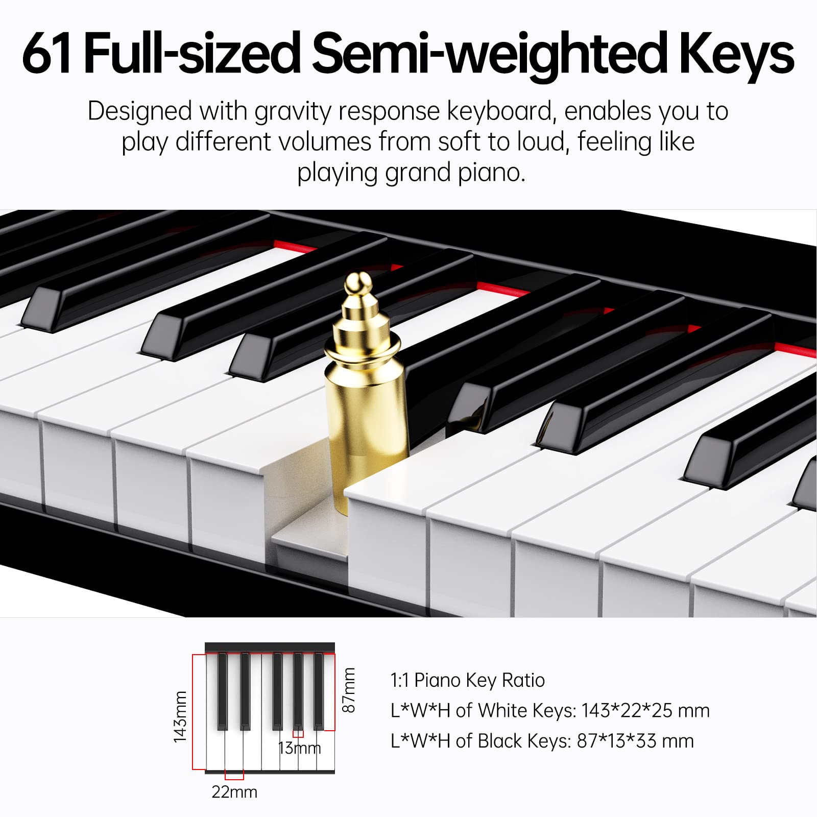 TERENCE Keyboard Piano with 61 Semi-weighted Keys & 1800mAh Battery Support MIDI USB Interface & Piano Application with Bluetooth Sheet Music Stand Sticker Bag Audio Cable Earphones