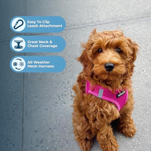 Voyager Step-in Air All Weather Mesh Harness and Reflective Dog 5 ft Leash Combo with Neoprene Handle, for Small, Medium and Large Breed Puppies by Best Pet Supplies - Set (Fuchsia), S