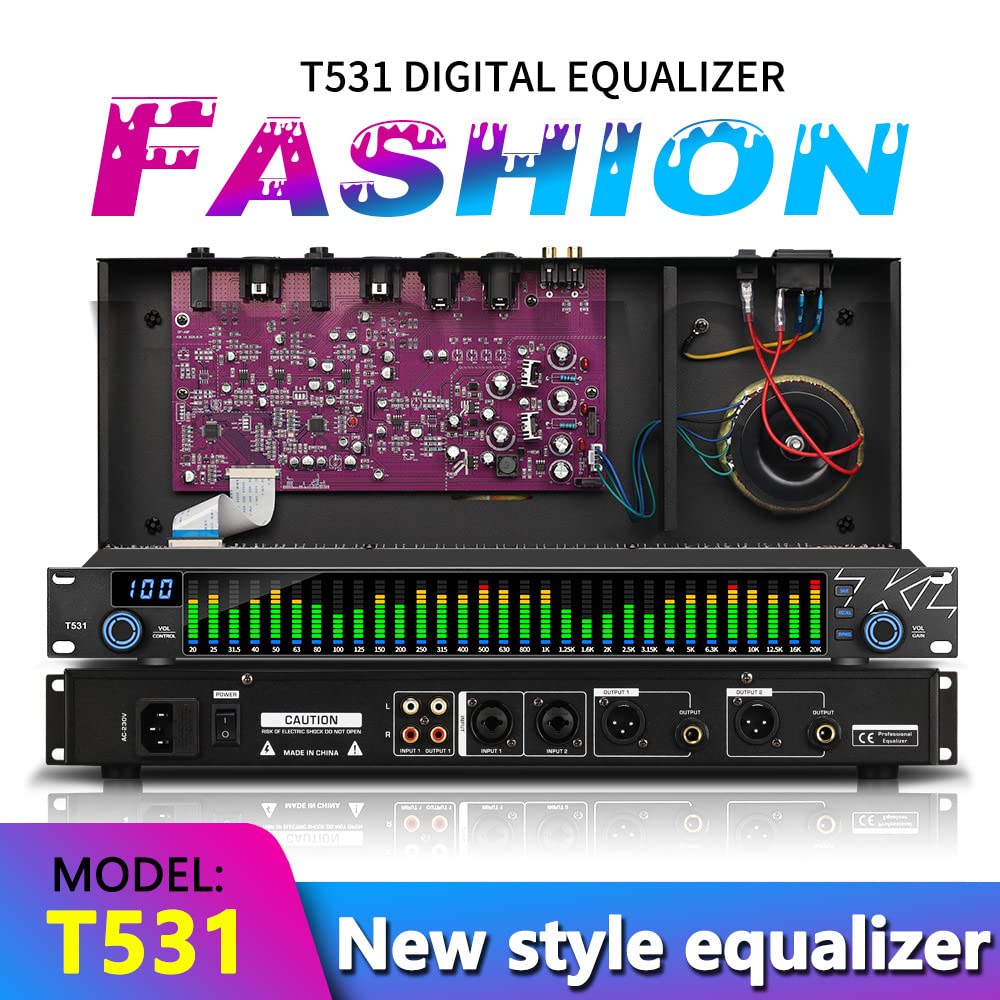 DDARKHORSE T531 110V Digital Equalizer EQ Noise Reduction，with Spectrum Display 31 Bands for KTV Stage Performance Board Stereo Level，LED Spectrum Indicator