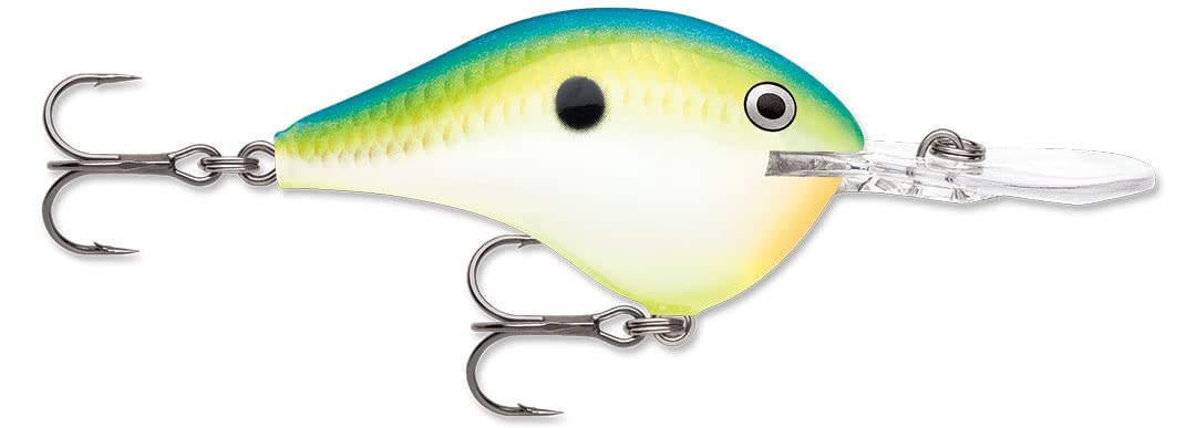 Dives-to 08 Citrus Shad