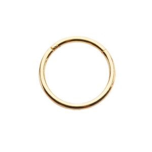 Gold-Tone 316L Surgical Steel Hinged Segment Septum Helix Daith Ear Cartilage Nose Ring Hoop 3/8" 9.5mm 18G