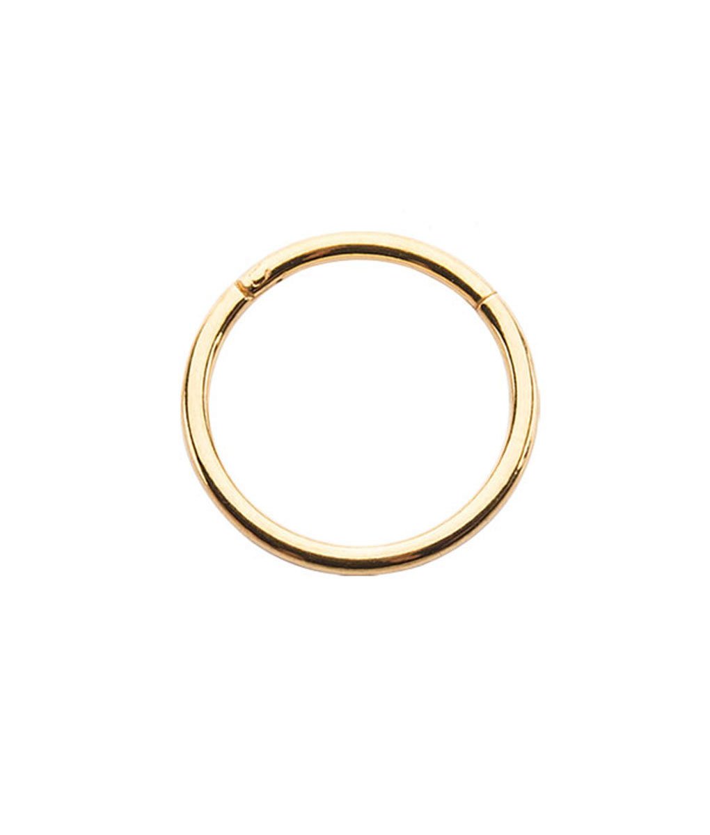 Gold-Tone 316L Surgical Steel Hinged Segment Septum Helix Daith Ear Cartilage Nose Ring Hoop 3/8" 9.5mm 18G