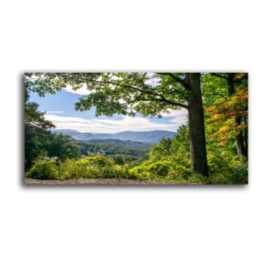 Wall Art for Living Room Picturesque View of Great Smoky Mountains National Park Print On Canvas Wall Decor Painting Posters Office Modern Home Decoration 20x40 inches Ready to Hang