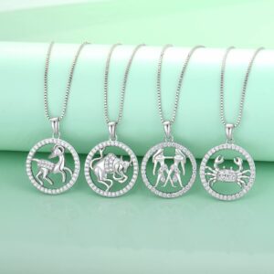 STARCHENIE Women's Constellation Jewelry Sterling Silver Zodiac Necklace Astrology Disc Horoscope Gemini Pendant 18'' Box Chain