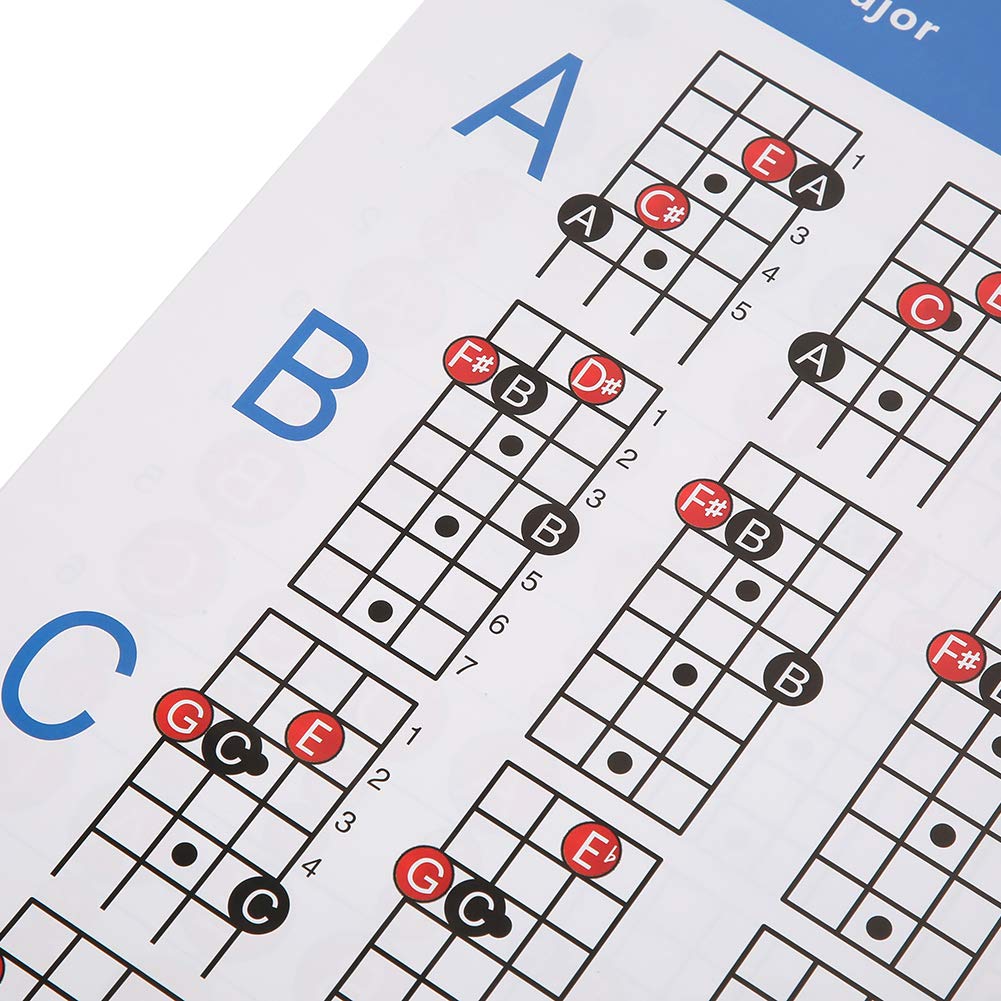 Bass Guitar Chords Chart, 4-String Bass Note Chart of Scale Chords for Beginners and Teachers Wear-Resistant Bass Reference Poster Bass Guitar Chords Poster