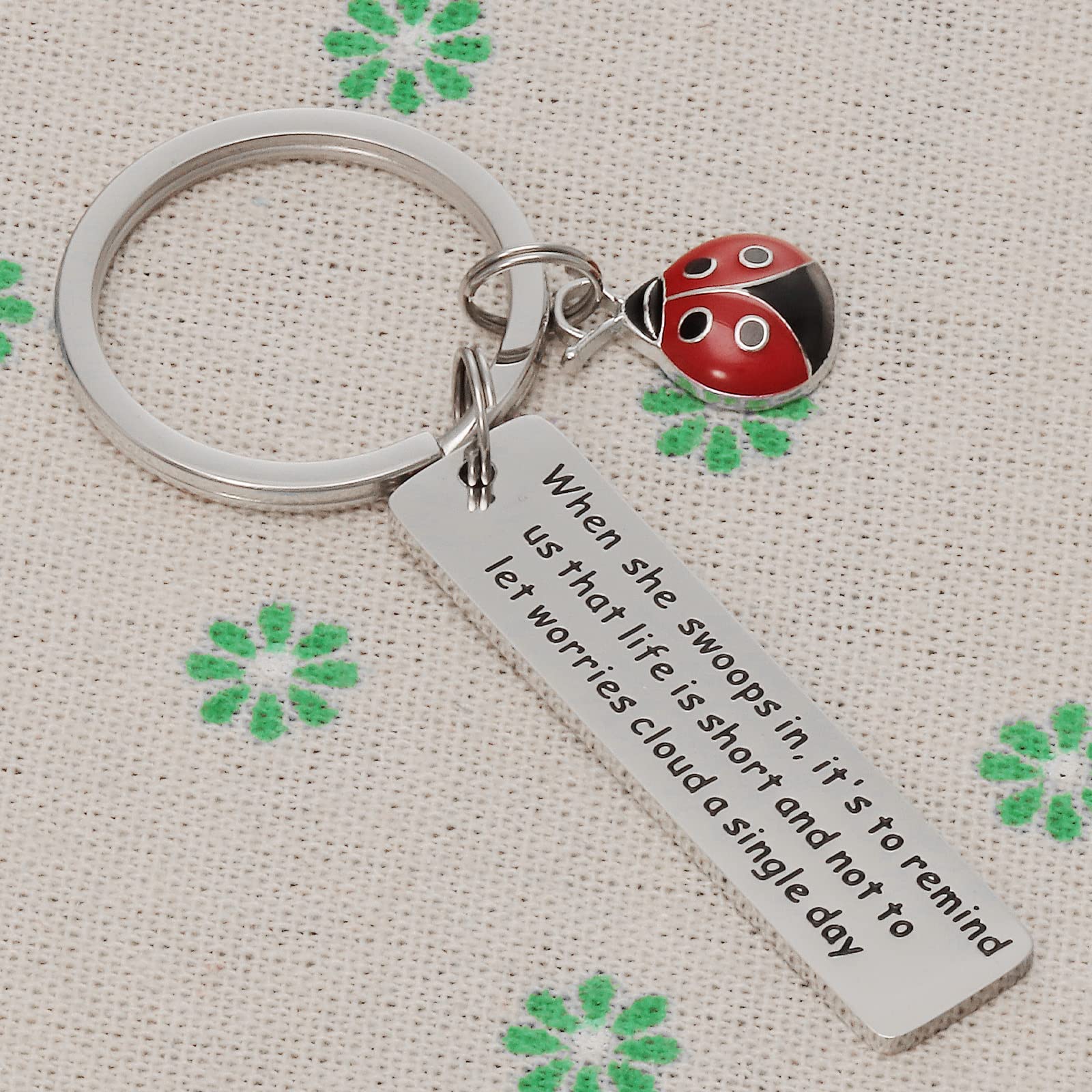 AHAETH Ladybug Keychain Gifts for Women When She Swoops in It Remind Us Not Be Let Worries Cloud A Single Day Keychain Good Luck Inspirational Jewelry Gift