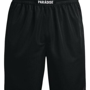 Under Armour Men's Project Rock Mesh Shorts (Small, Black)