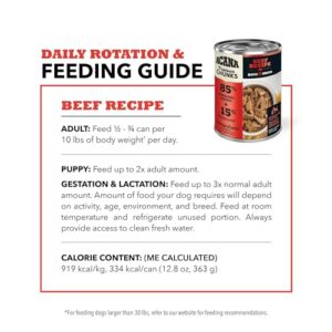 ACANA Premium Chunks Wet Dog Food, Beef Recipe in Bone Broth, 12.8oz (Case of 12)