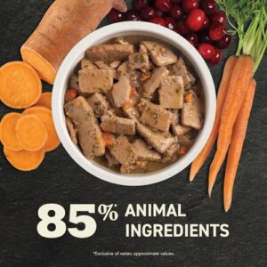 ACANA Premium Chunks Wet Dog Food, Beef Recipe in Bone Broth, 12.8oz (Case of 12)