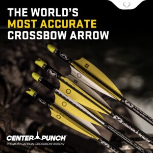 TenPoint 16-Inch EVO-X Alpha-Blaze Lighted Carbon Crossbow Arrows (3-Pack)